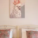 Euphoria * Ágios Ioánnis